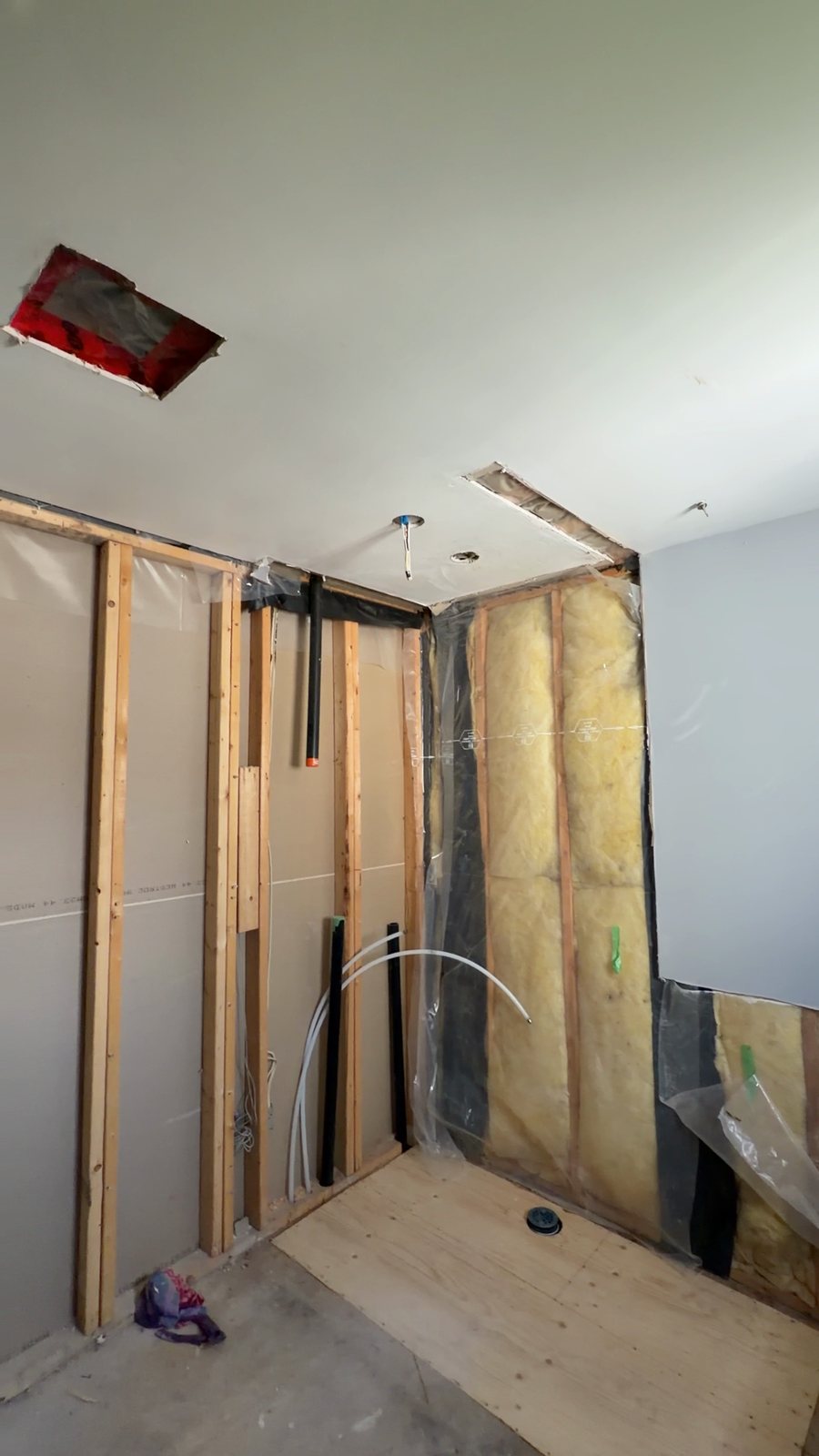 Bathroom before: shower wall down to the studs